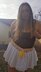 Pleated Skort
