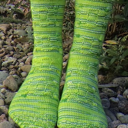 Mock Turtle Socks