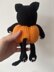 Pumpkin kitty