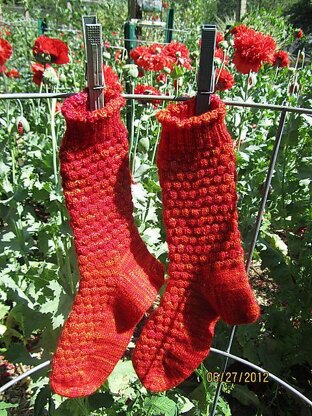 Poppies in the Garden