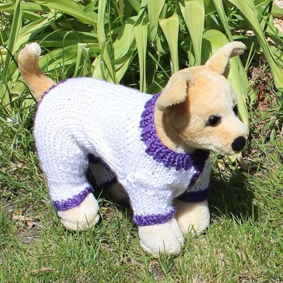 Dog Simple Chunky Onesie - knitting pattern