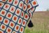 Ferris Wheel Granny Square Shawl