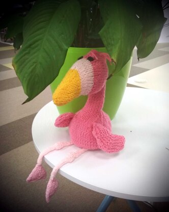 Flamingo