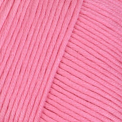 Begonia (14)