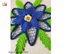 Blue poinsettia flower