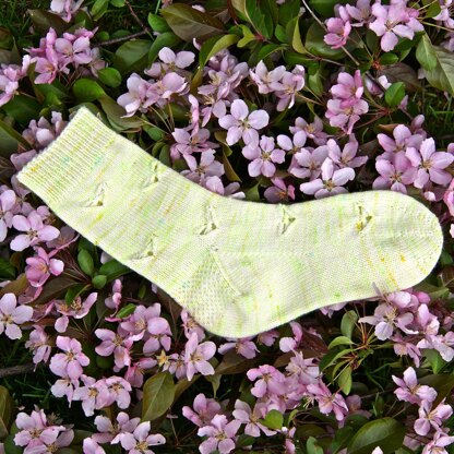 Cabbage Butterfly Socks