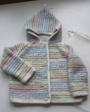 Hoodie for Ariana #3