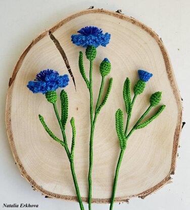 Cornflowers