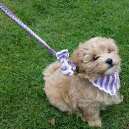 Bow Bandana Leash Set