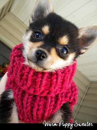 Warm Puppy Sweater