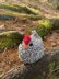 Chicken Crochet Pattern