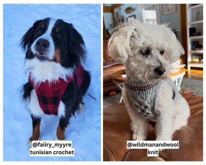 Universal Pet Sweater