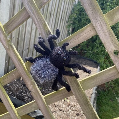 Big T The Spider