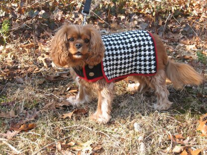 The Hound of the Baskervilles Dog Coat