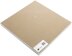 Grafix Craft Plastic Sheets 12"X12" 25/Pkg - Clear .020
