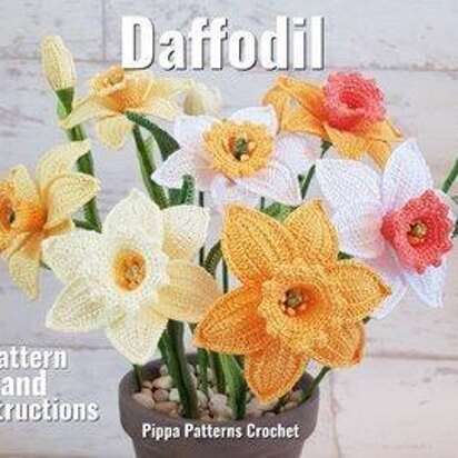 Daffodil