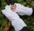 Lace Fingerless Mittens