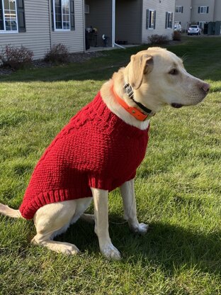 Doggie Sweater