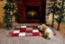 Happy Holiday Rug