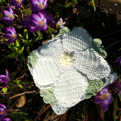 Hellebore 8 inch square and scatter cushion