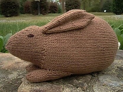 Henry's Rabbit