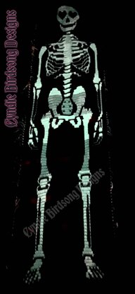Sir Skelly Bonesington wall hanging