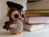 Owl Graduate