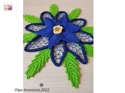 Blue poinsettia flower