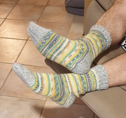 House socks
