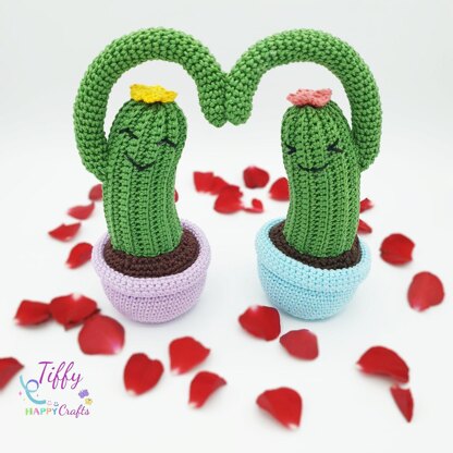 Cactus in Love