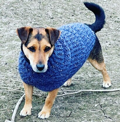 The Patriot Dog Sweater in Lion Brand Heartland - L32376