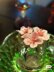 Cherry blossom branch