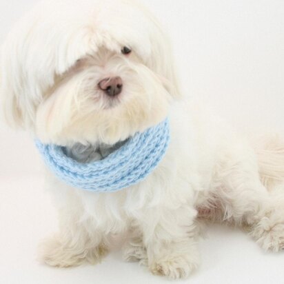 P03 Knit Dog Cowl