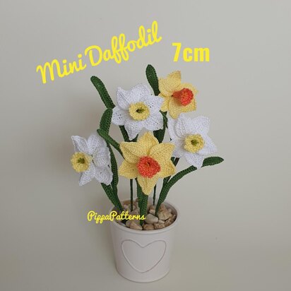 Mini Daffodil