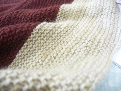 Tally shawl [stashbuster]