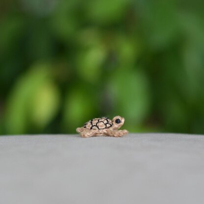 FREE Mini Turtle