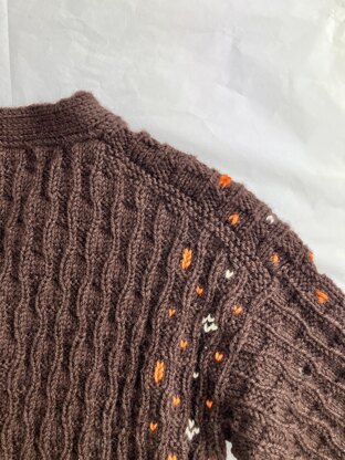 AALLOT cardigan coolkids