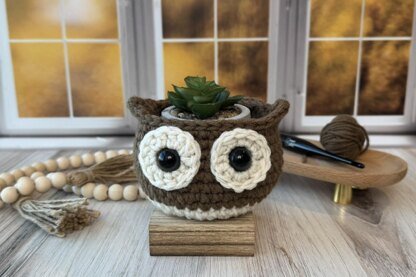 Little Hoot Owl Bowl