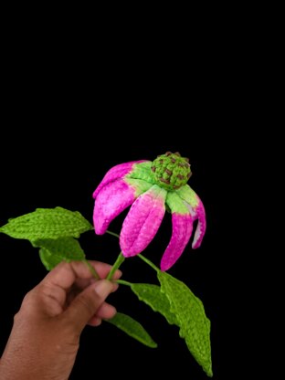 Crochet Echinacea/Cone flowers
