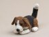 Hambea the beagle dog
