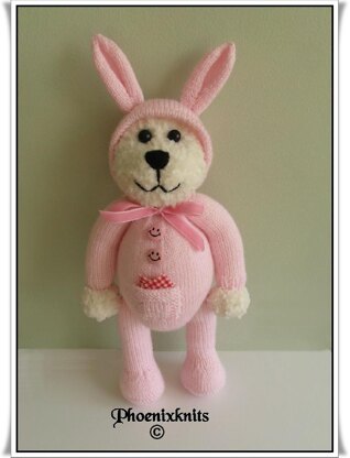 Teddy in a bunny onesie