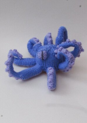 Octopus Chocolate Orange Cosy