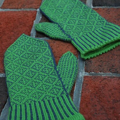 Eidetic Mittens