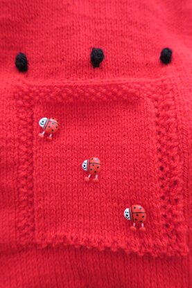 Ladybird Baby Car Seat Blanket