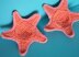 Starfish or Sea Star Tawashi Scrubber