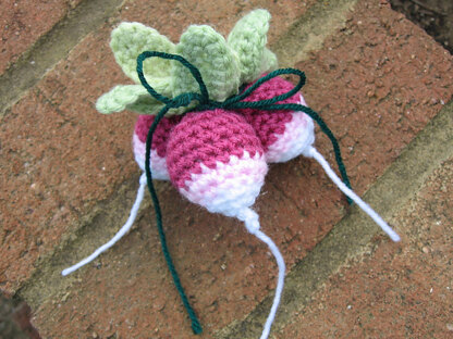 100 Flowers to Knit and Crochet