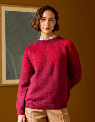 Impressions Four Knitting Patterns in Morris DK by Debbie Bliss & Chloé Elizabeth Birch