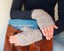 InGENEous Fingerless Gloves