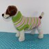 Dog Candy Stripe Sweater Coat