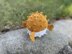Bubbles the Puffer Fish